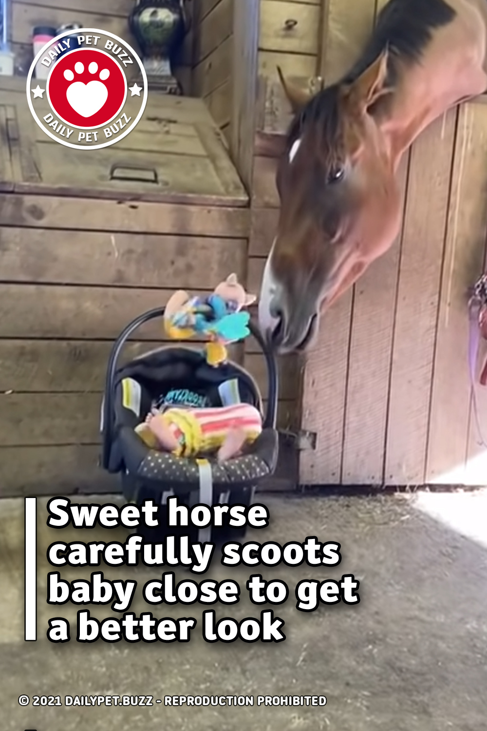 Sweet horse carefully scoots baby close to get a better look