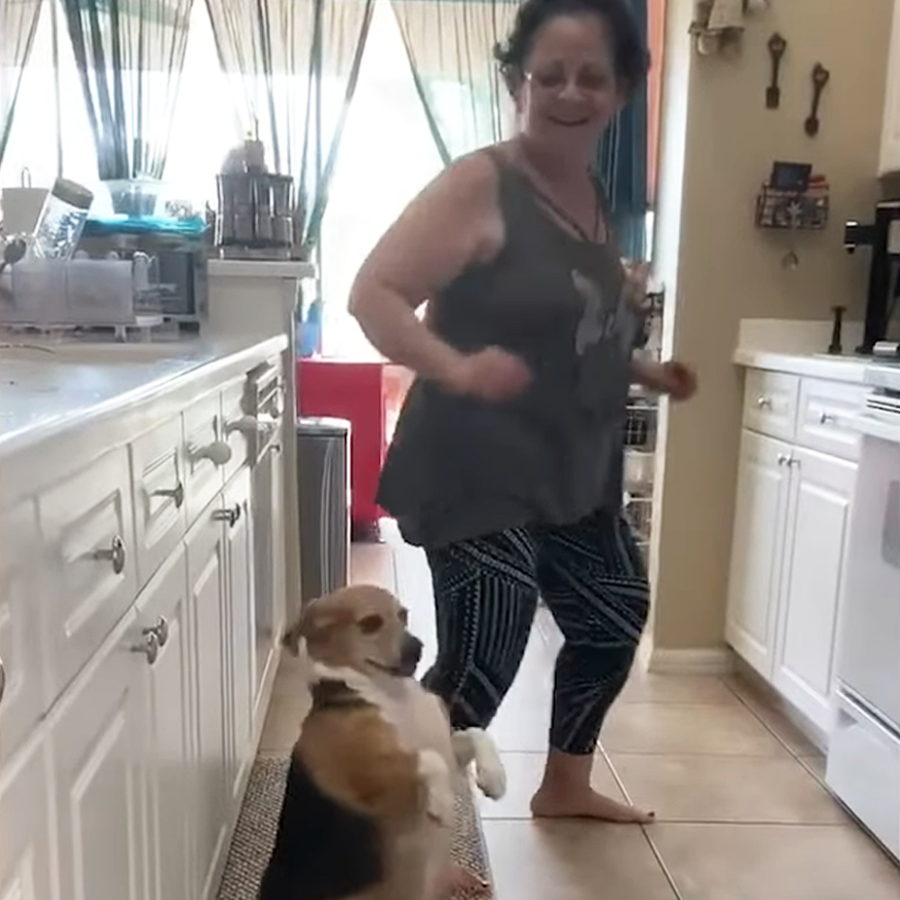 Dog dancing with owner