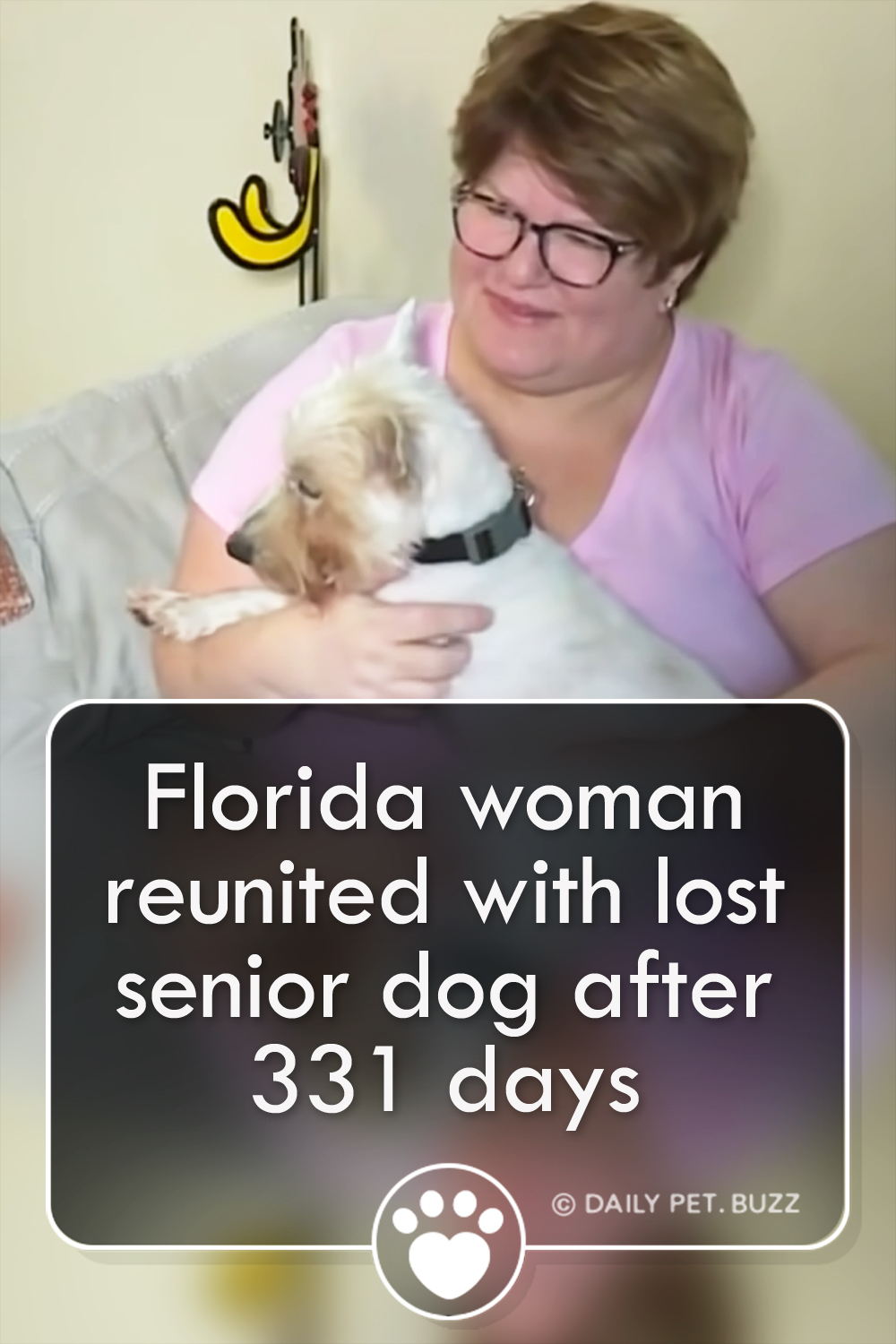 Florida woman reunited with lost senior dog after 331 days