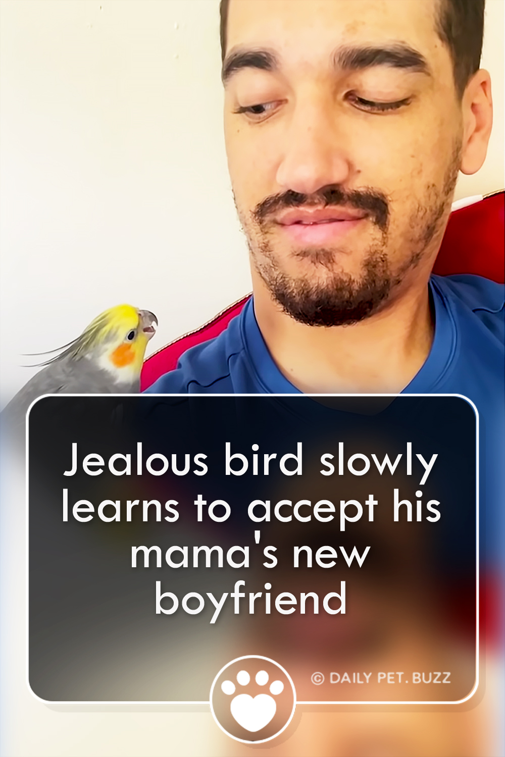 Jealous bird slowly learns to accept his mama\'s new boyfriend