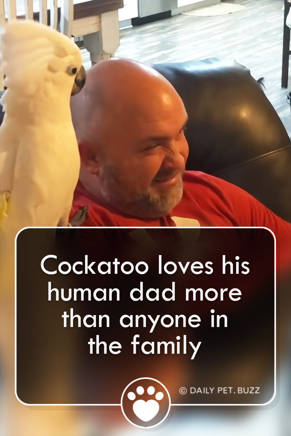 Cockatoo loves his human dad more than anyone in the family