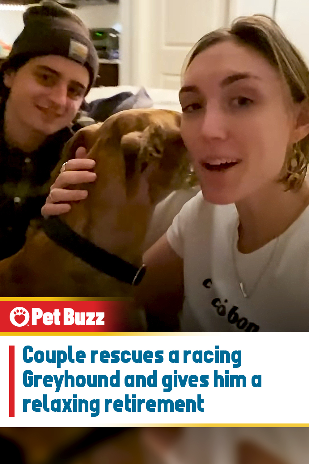 Couple rescues a racing Greyhound and gives him a relaxing retirement