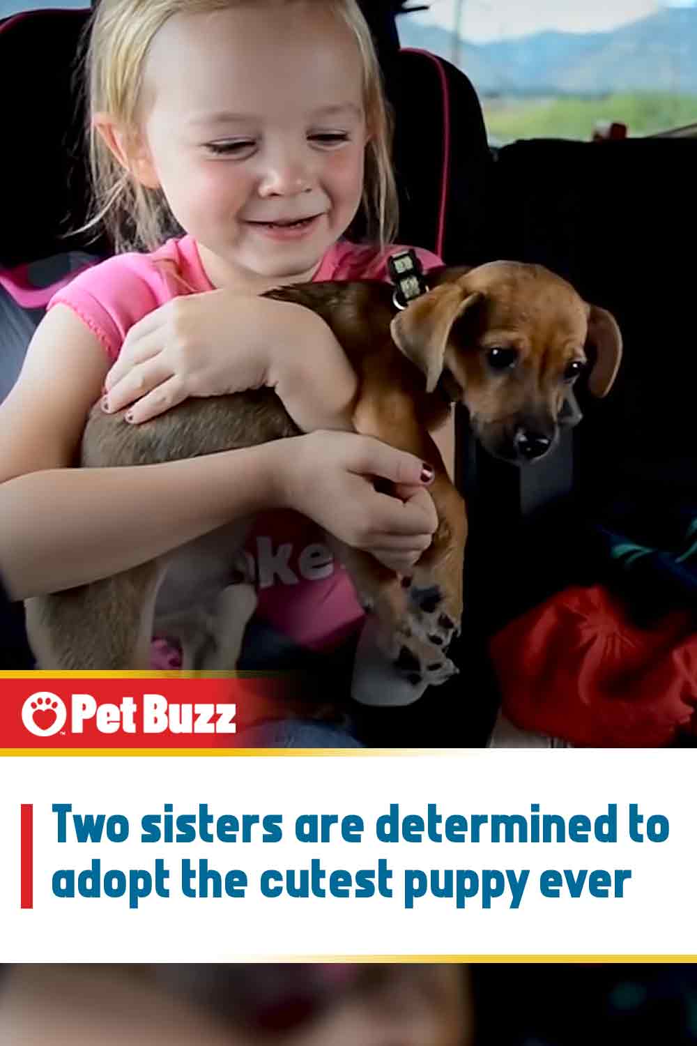 Two sisters are determined to adopt the cutest puppy ever