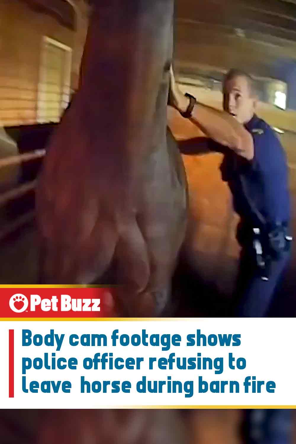 Body cam footage shows police officer refusing to leave horse during barn fire