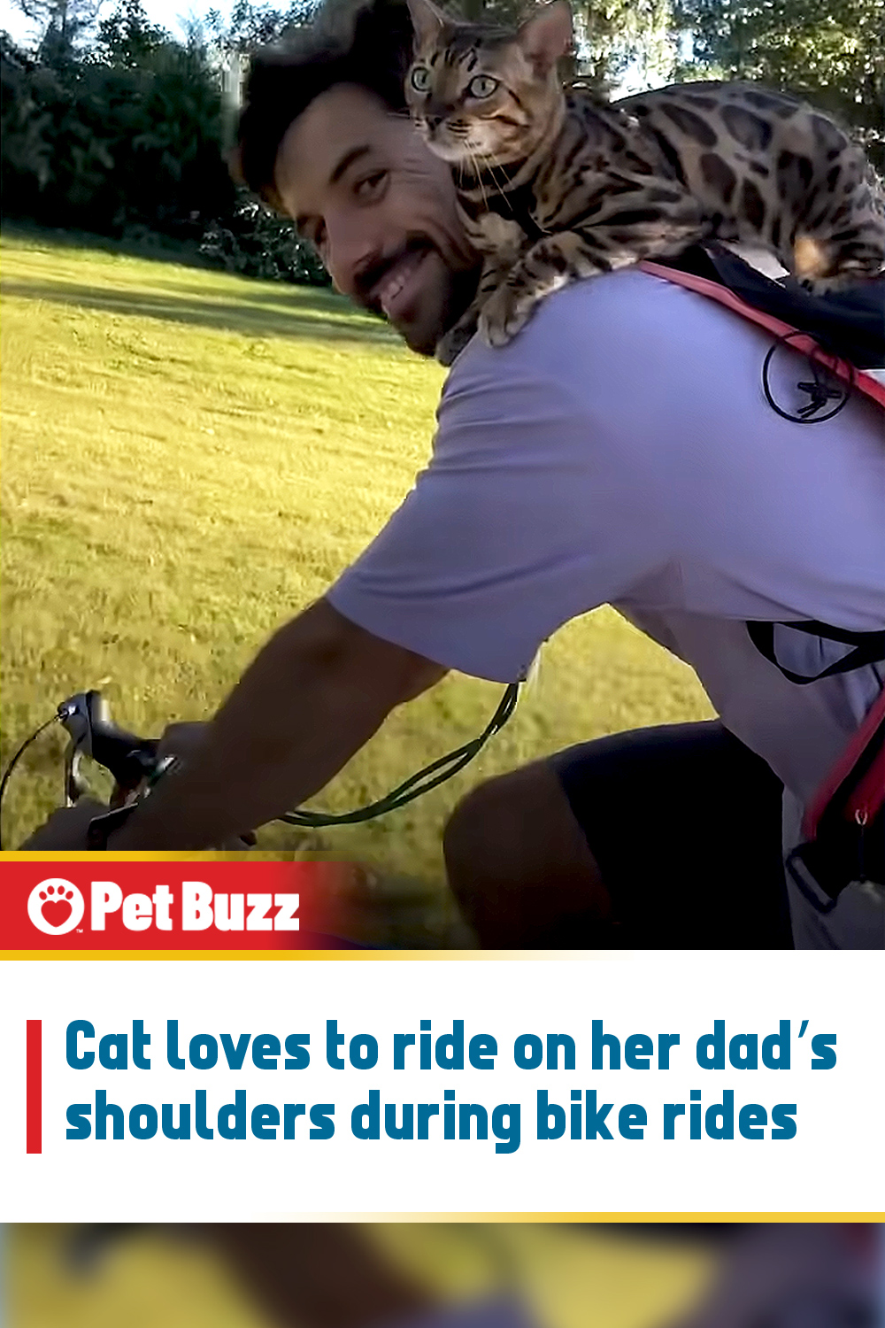 Cat loves to ride on her dad’s shoulders during bike rides