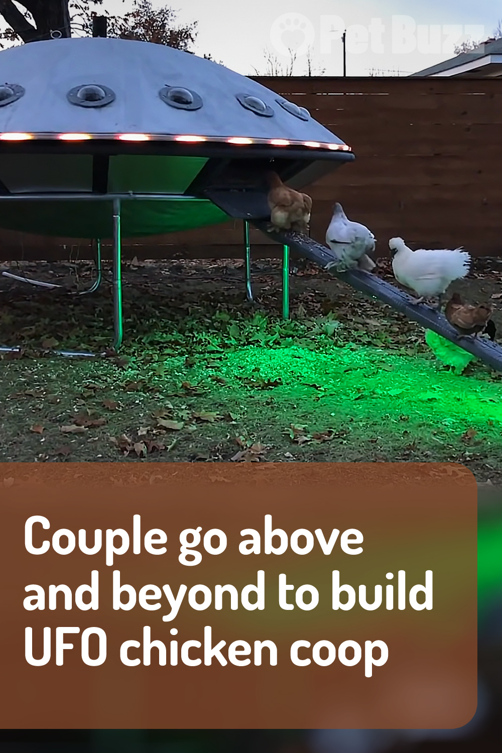 Couple go above and beyond to build UFO chicken coop