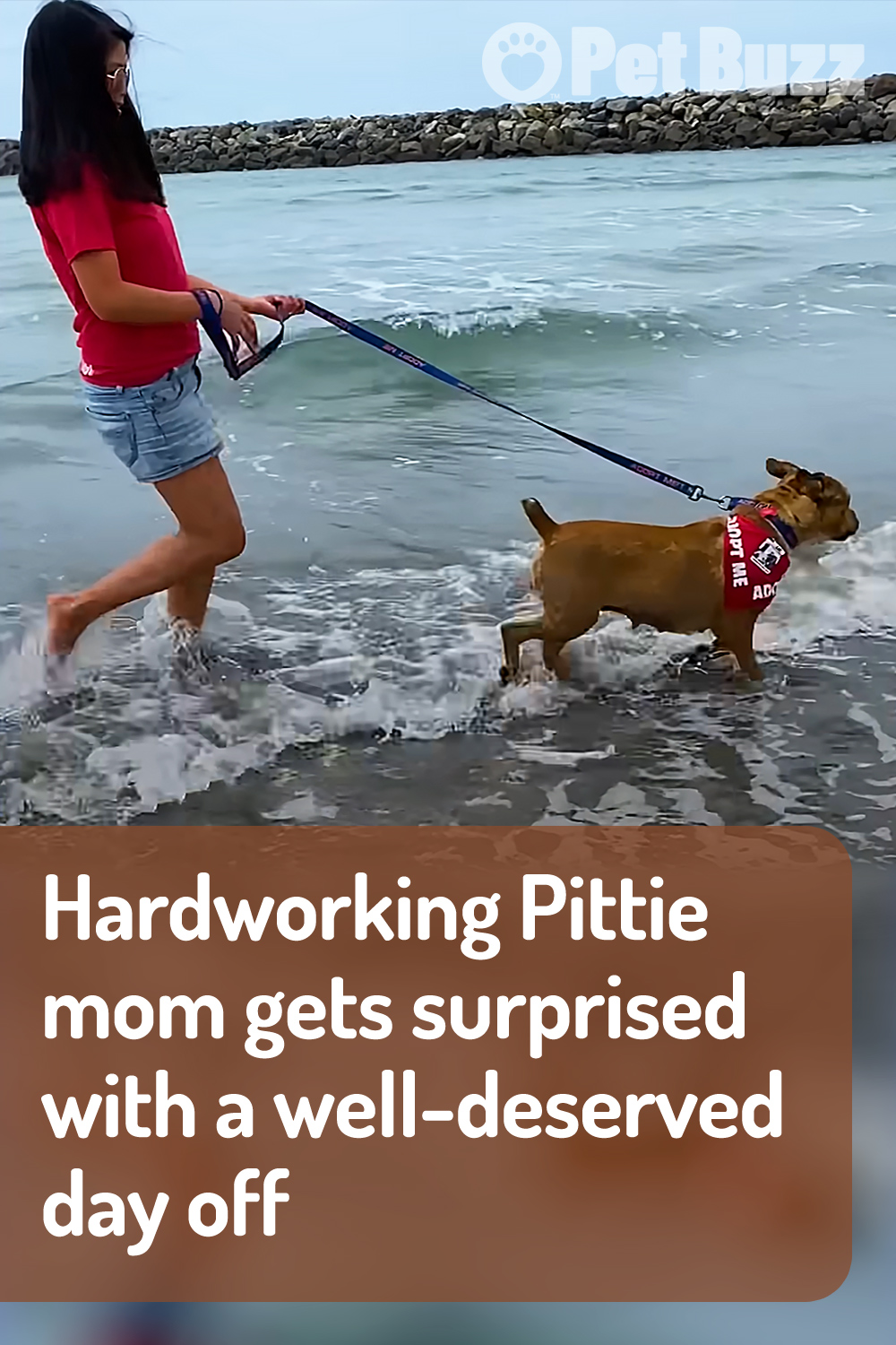 Hardworking Pittie mom gets surprised with a well-deserved day off