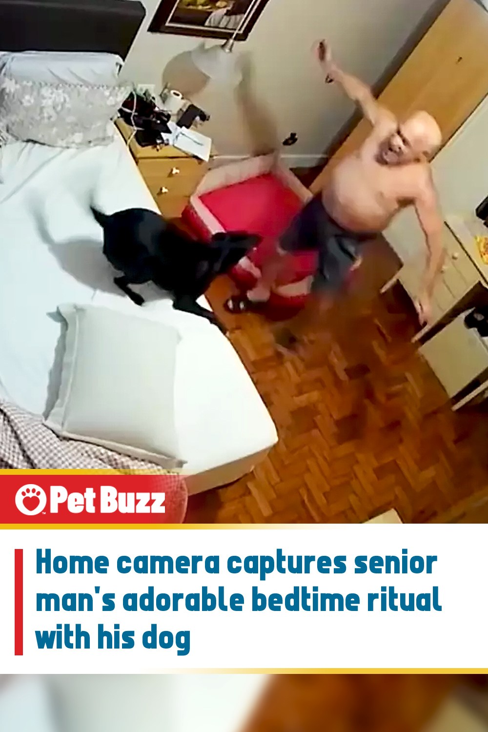 Home camera captures senior man\'s adorable bedtime ritual with his dog