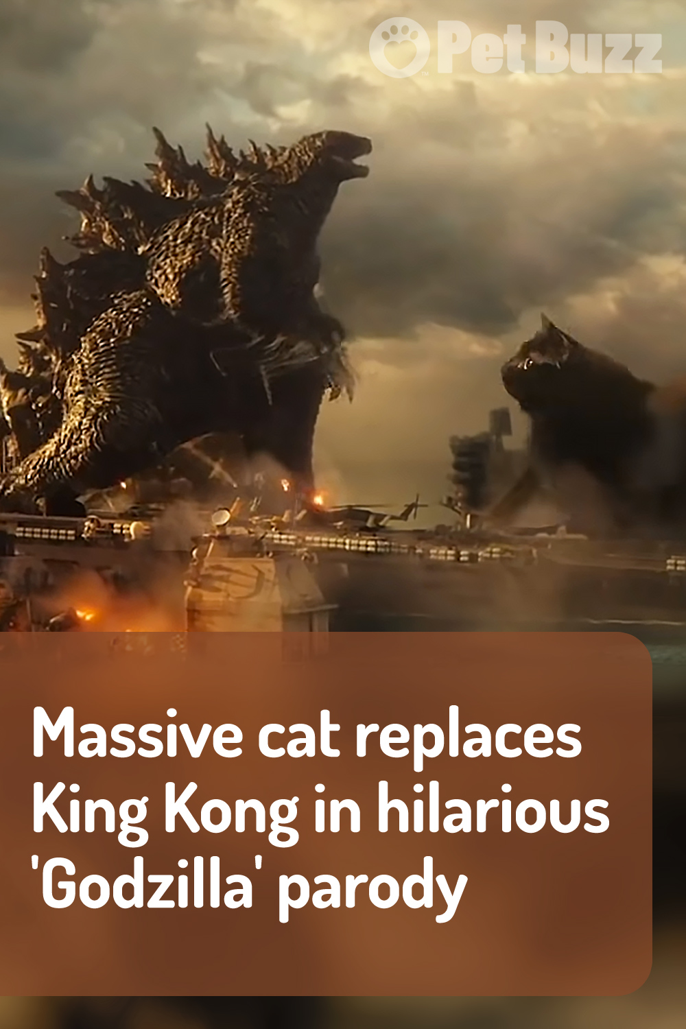 Massive cat replaces King Kong in hilarious ‘Godzilla’ parody