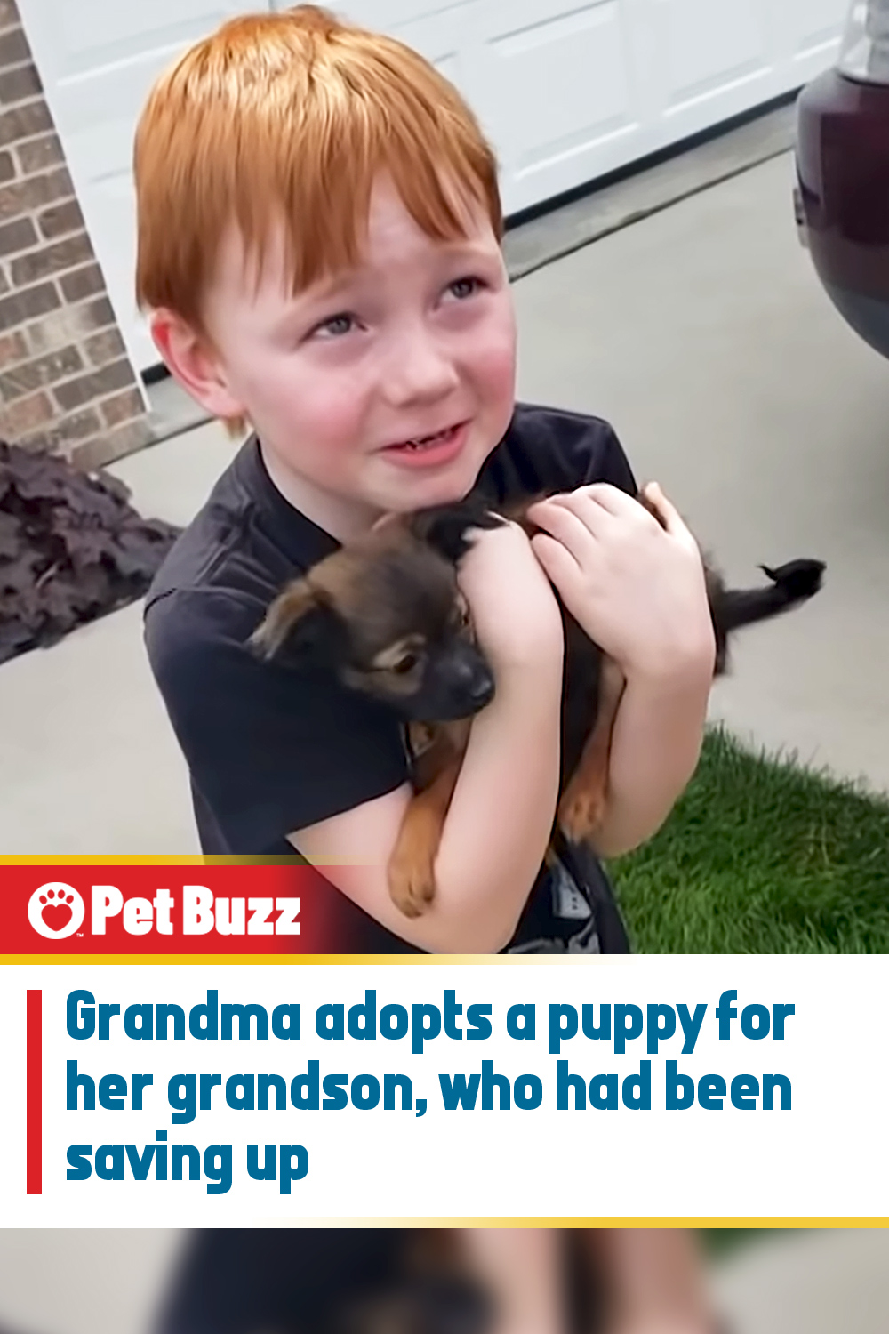 Grandma adopts a puppy for her grandson, who had been saving up