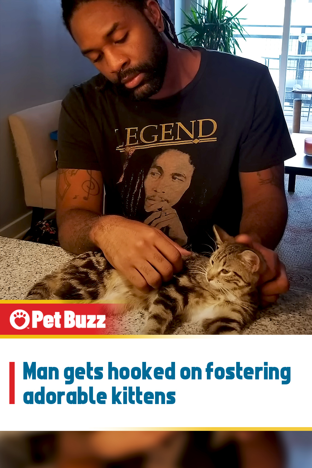 Man gets hooked on fostering adorable kittens