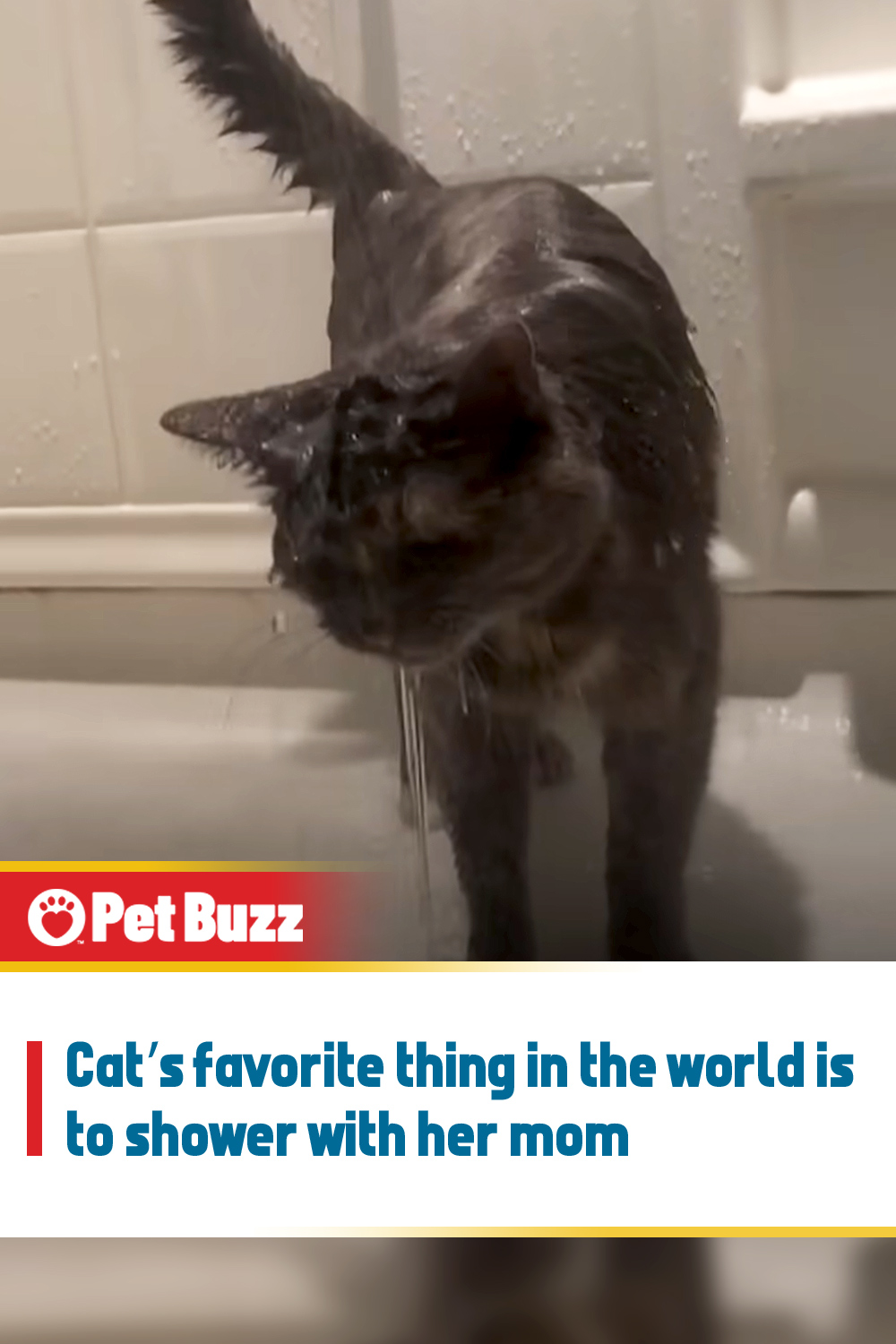 Cat’s favorite thing in the world is to shower with her mom
