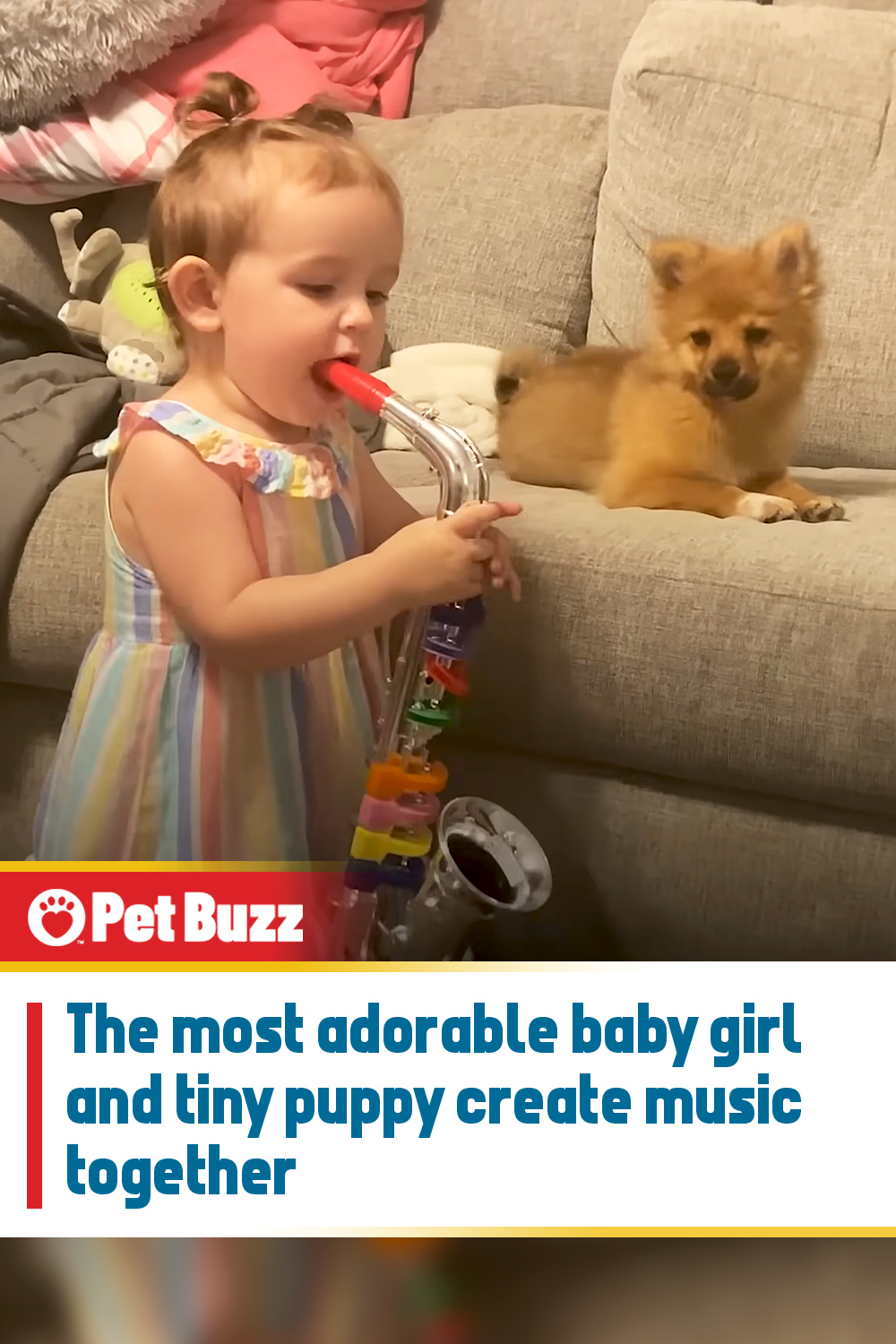 The most adorable baby girl and tiny puppy create music together