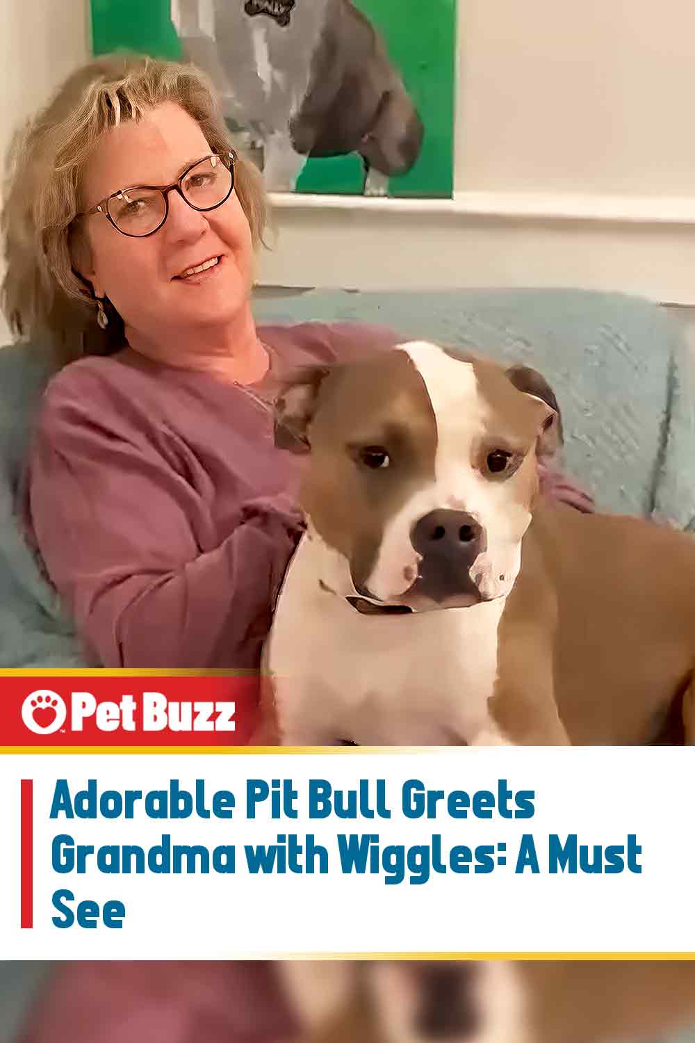 Adorable Pit Bull Greets Grandma with Wiggles: A Must See