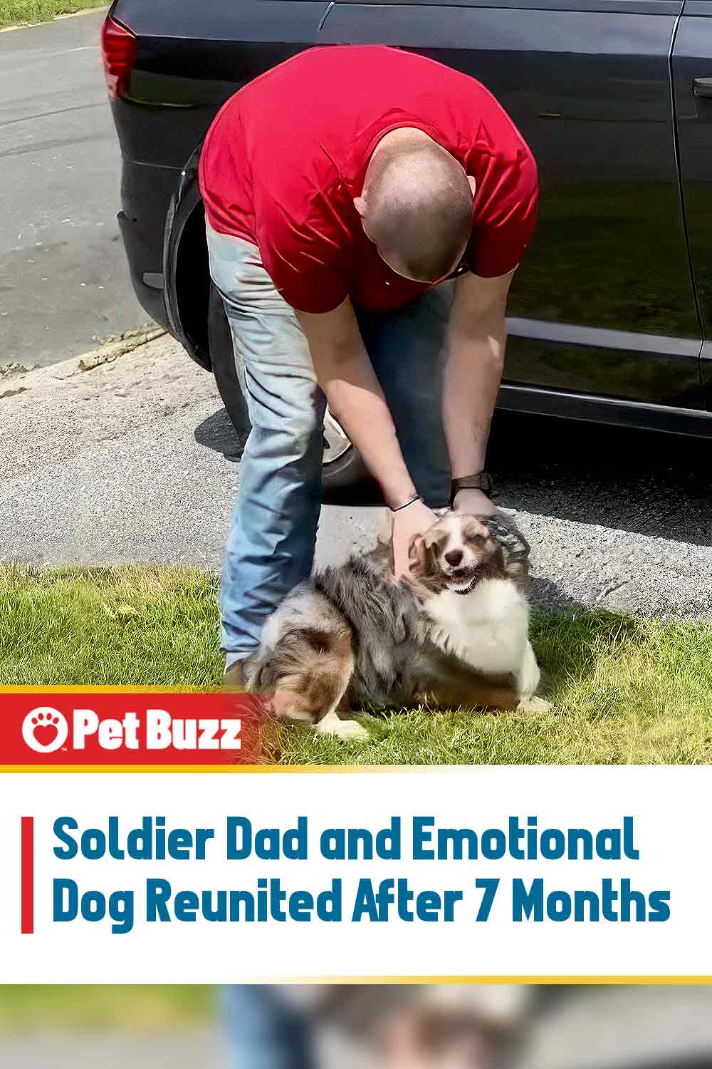 Soldier Dad and Emotional Dog Reunited After 7 Months