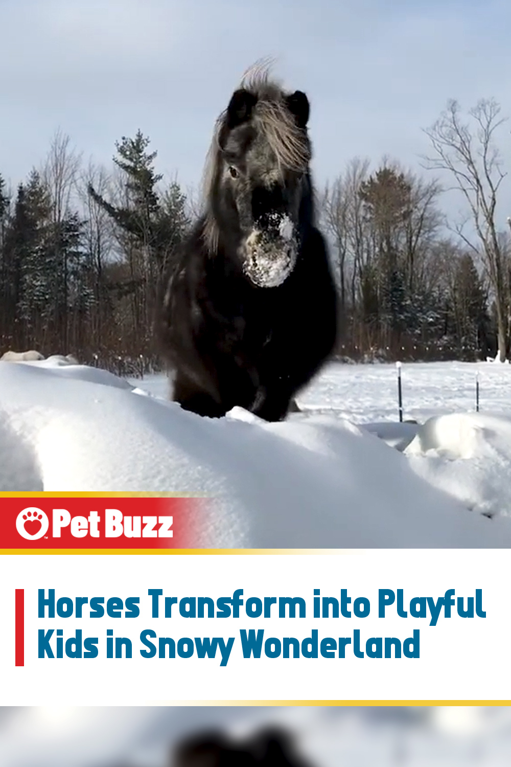 Horses Transform into Playful Kids in Snowy Wonderland