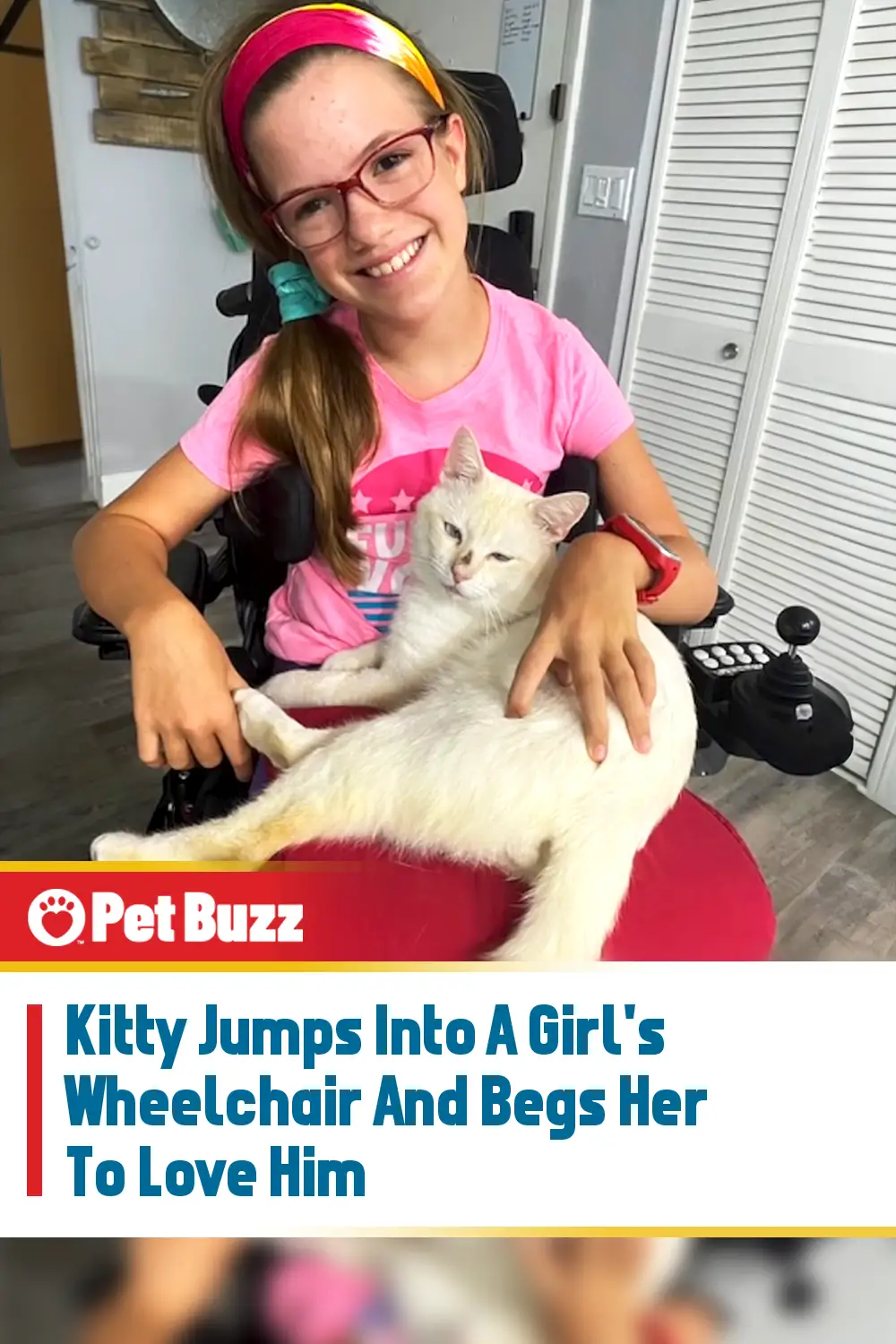 Kitty Jumps Into A Girl\'s Wheelchair And Begs Her To Love Him