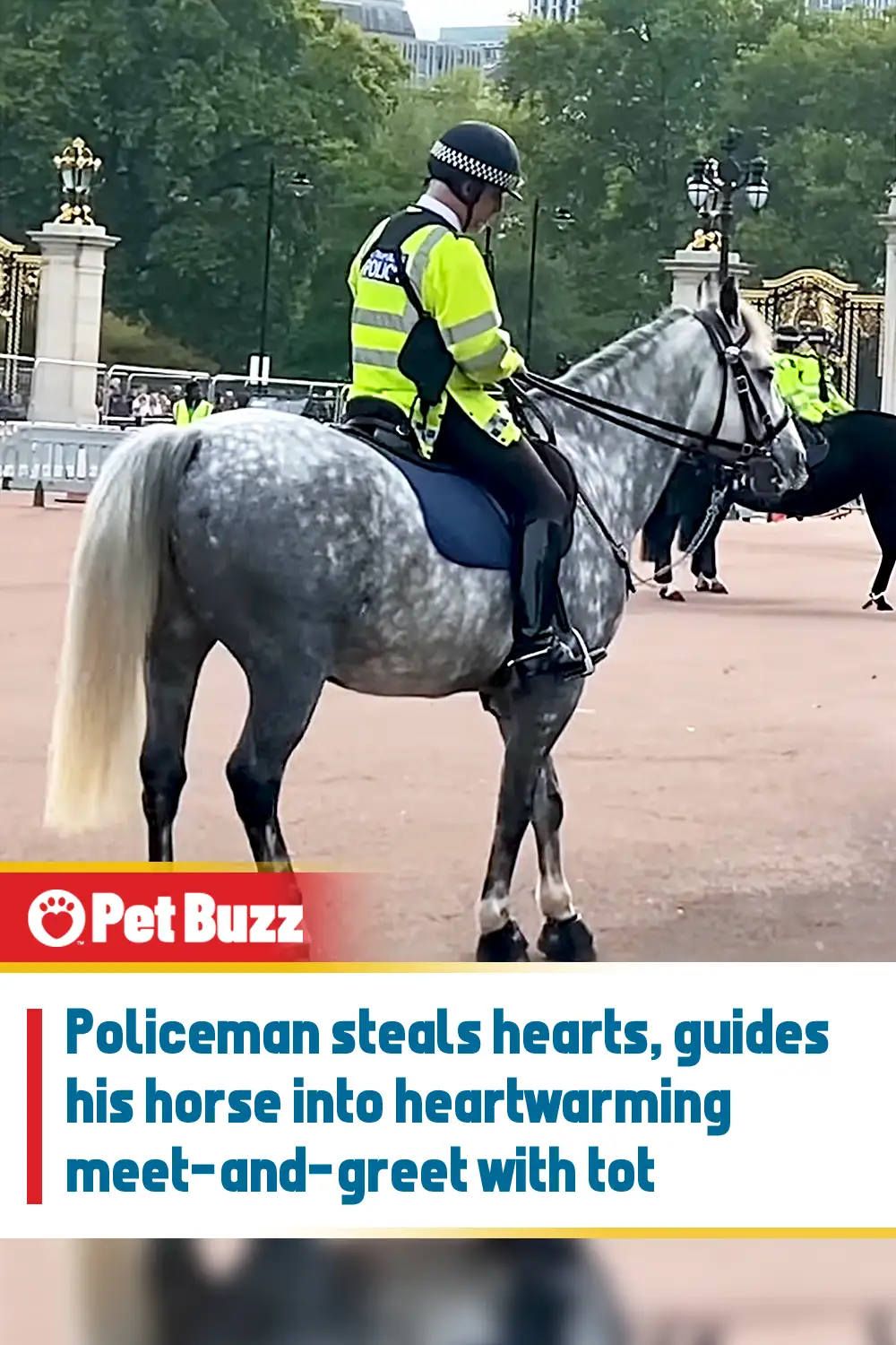 Policeman steals hearts, guides his horse into heartwarming meet-and-greet with tot