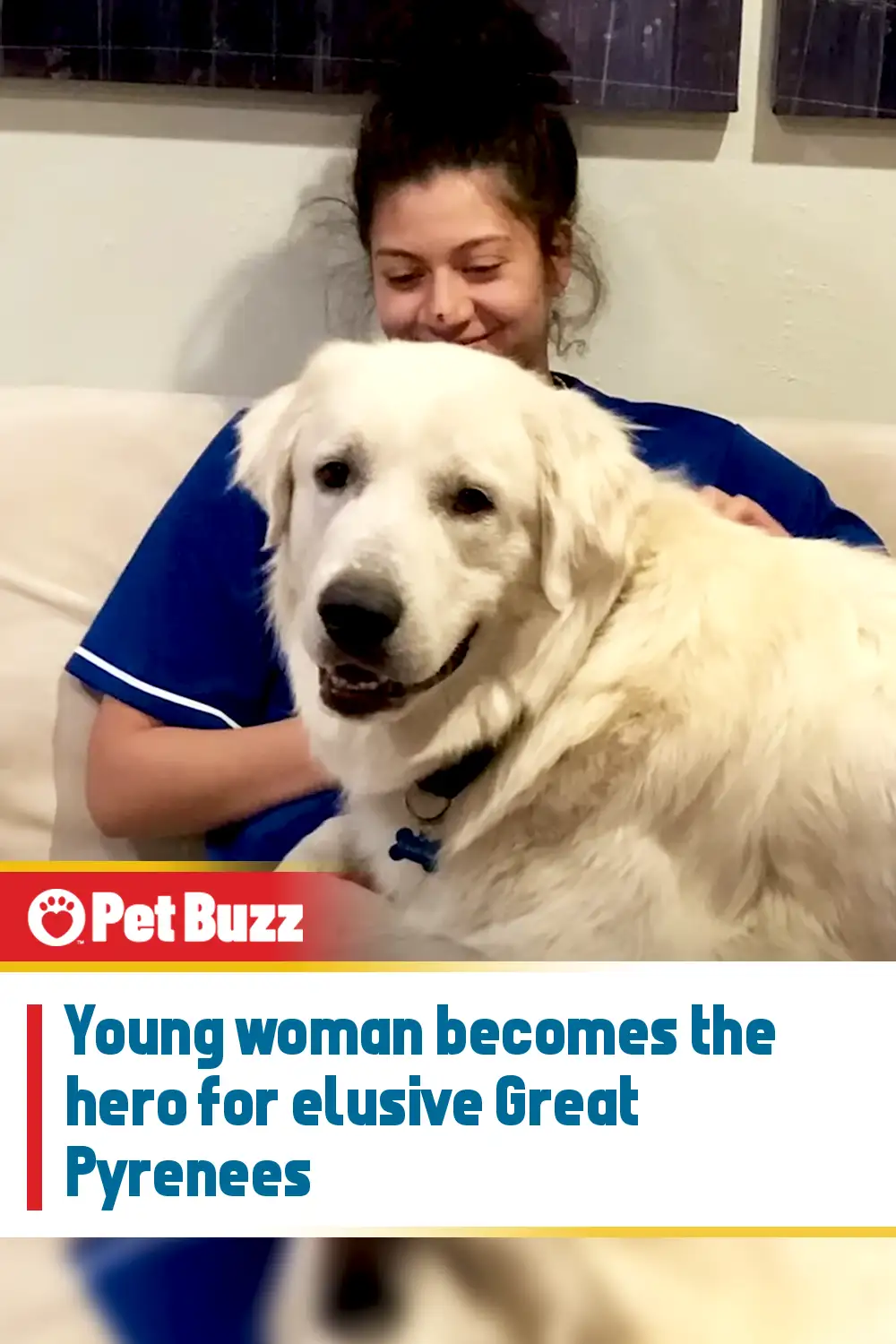 Young woman becomes the hero for elusive Great Pyrenees