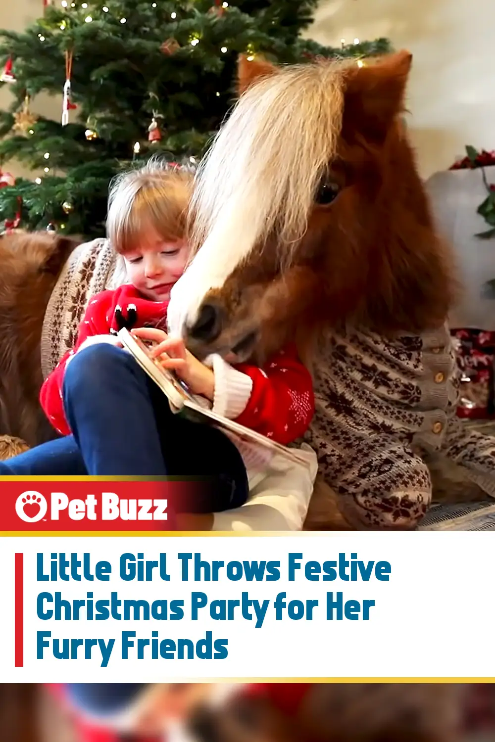 Little Girl Throws Festive Christmas Party for Her Furry Friends
