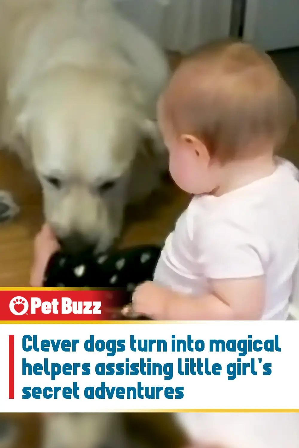 Clever dogs turn into magical helpers assisting little girl\'s secret adventures