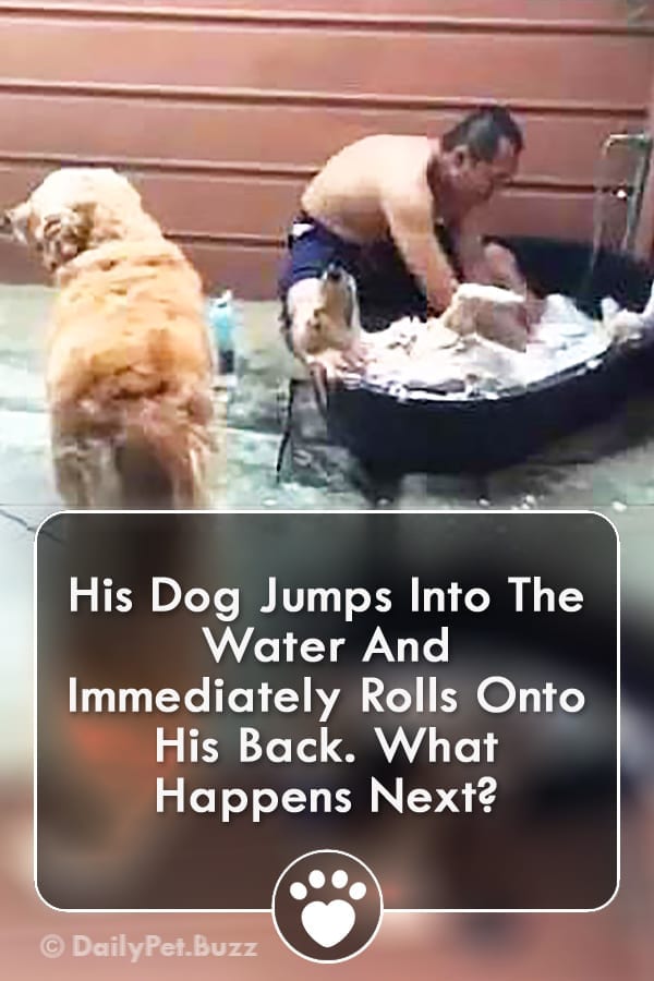 His Dog Jumps Into The Water And Immediately Rolls Onto His Back. What Happens Next?