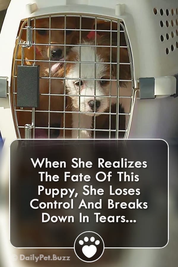When She Realizes The Fate Of This Puppy, She Loses Control And Breaks Down In Tears...