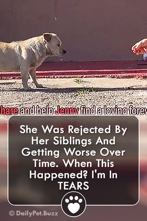 She Was Rejected By Her Siblings And Getting Worse Over Time. When This Happened? I\'m In TEARS