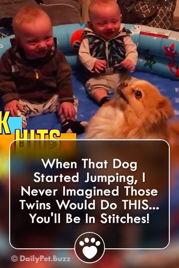 When That Dog Started Jumping, I Never Imagined Those Twins Would Do THIS... You\'ll Be In Stitches!
