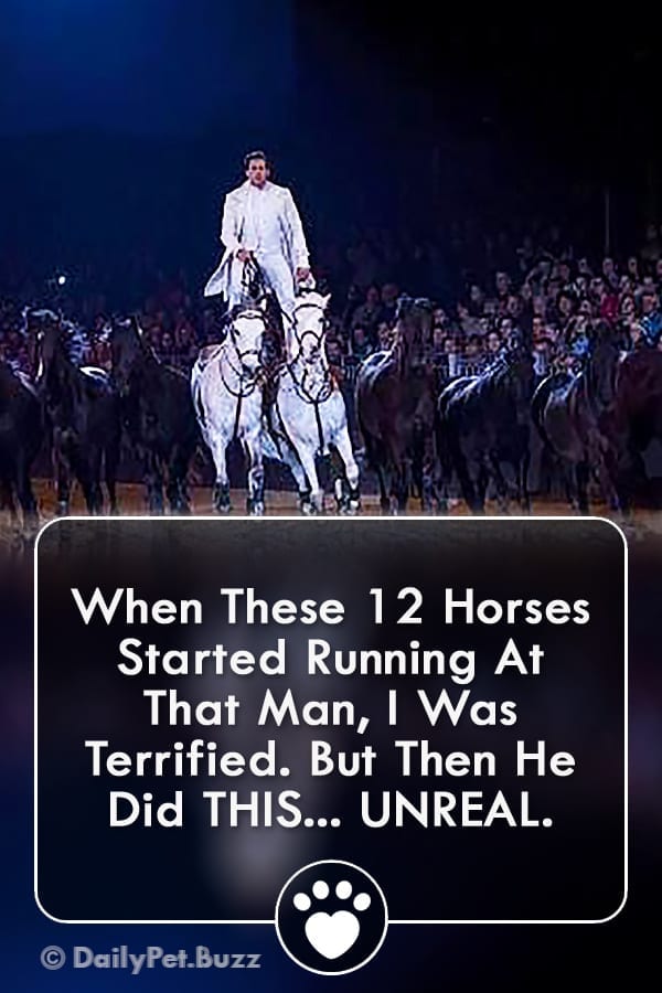 When These 12 Horses Started Running At That Man, I Was Terrified. But Then He Did THIS... UNREAL.