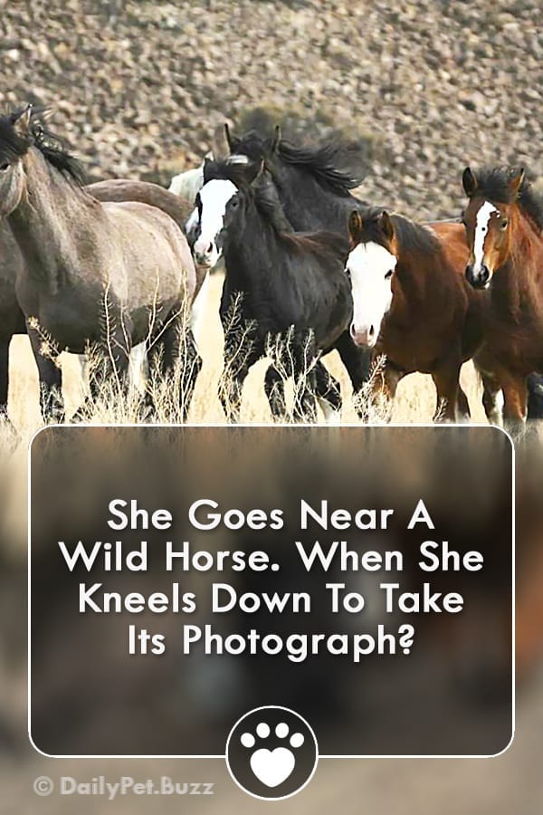 She Goes Near A Wild Horse. When She Kneels Down To Take Its Photograph?