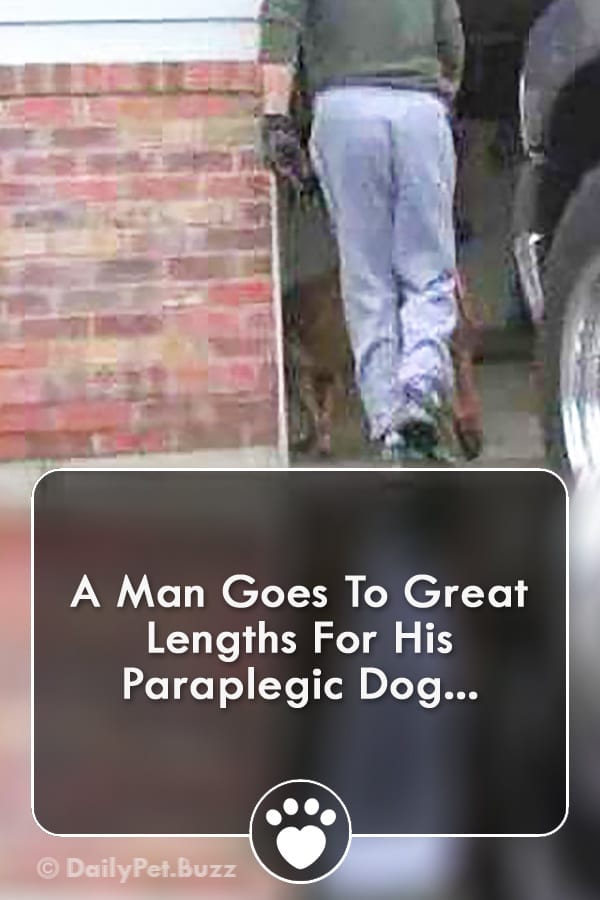 A Man Goes To Great Lengths For His Paraplegic Dog...