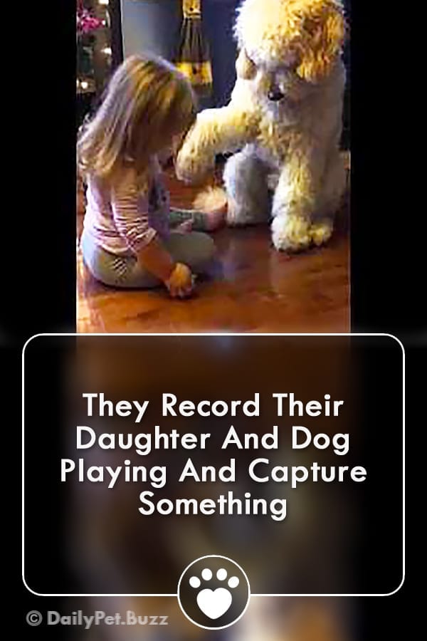 They Record Their Daughter And Dog Playing And Capture Something