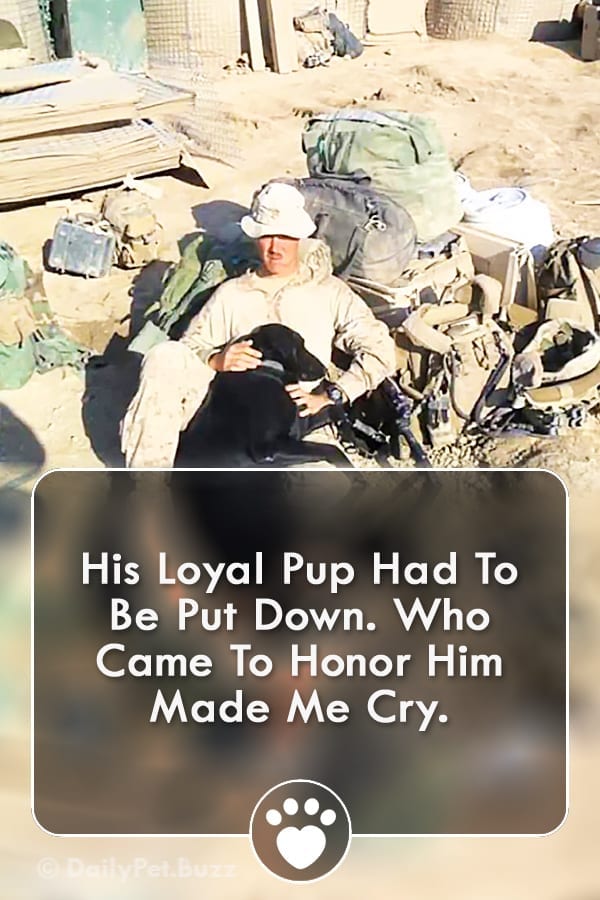 His Loyal Pup Had To Be Put Down. Who Came To Honor Him Made Me Cry.