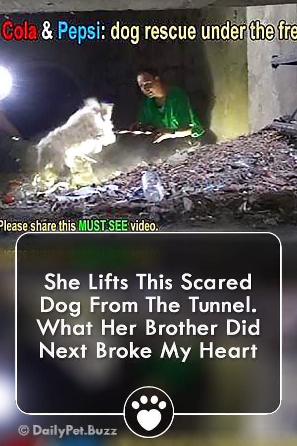 She Lifts This Scared Dog From The Tunnel. What Her Brother Did Next Broke My Heart