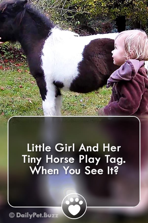 Little Girl And Her Tiny Horse Play Tag. When You See It?