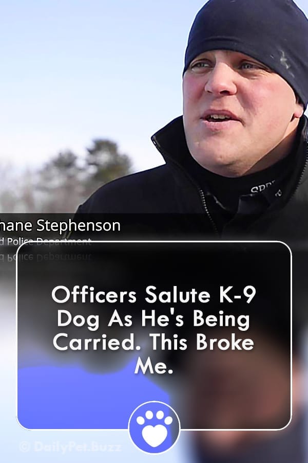 Officers Salute K-9 Dog As He\'s Being Carried. This Broke Me.