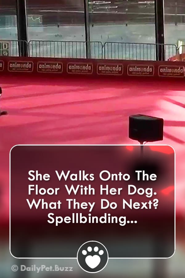 She Walks Onto The Floor With Her Dog. What They Do Next? Spellbinding...