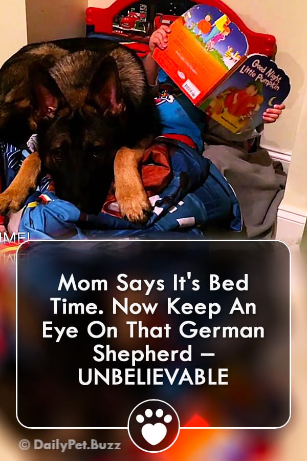Mom Says It\'s Bed Time. Now Keep An Eye On That German Shepherd – UNBELIEVABLE