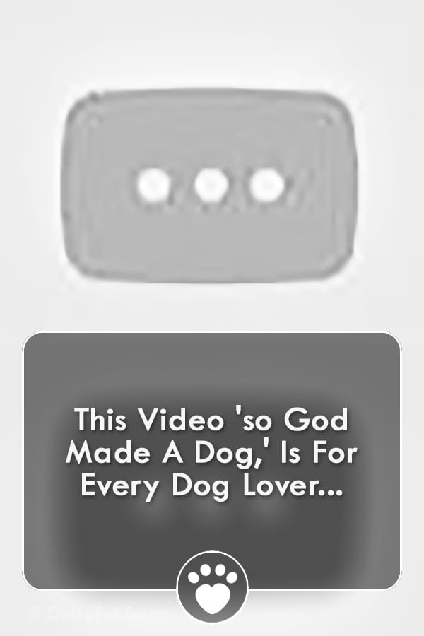 This Video \'so God Made A Dog,\' Is For Every Dog Lover...
