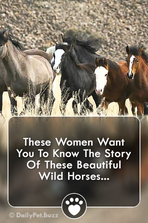 These Women Want You To Know The Story Of These Beautiful Wild Horses...