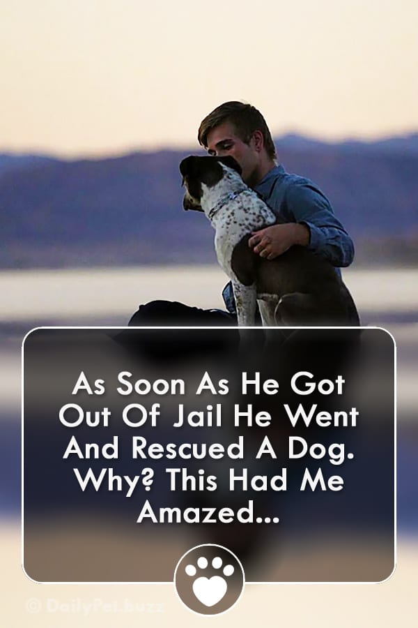 As Soon As He Got Out Of Jail He Went And Rescued A Dog. Why? This Had Me Amazed...