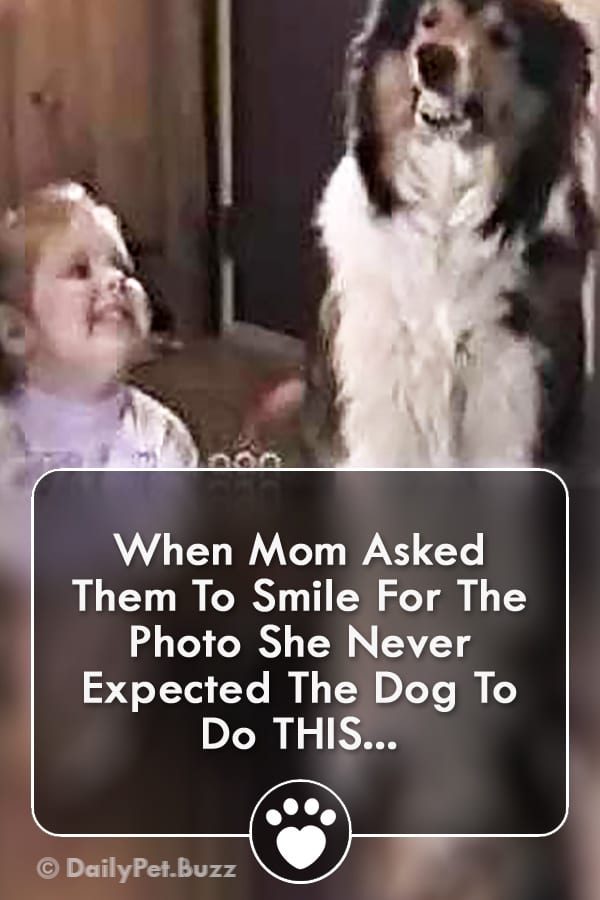 When Mom Asked Them To Smile For The Photo She Never Expected The Dog To Do THIS...