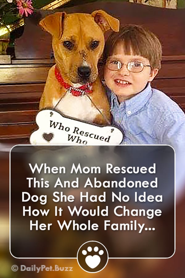 When Mom Rescued This And Abandoned Dog She Had No Idea How It Would Change Her Whole Family...