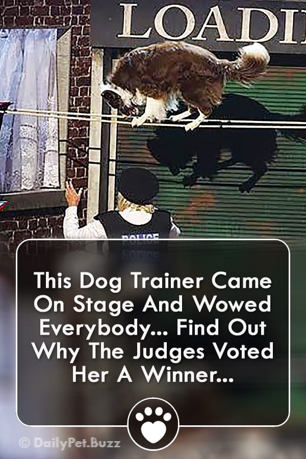 This Dog Trainer Came On Stage And Wowed Everybody... Find Out Why The Judges Voted Her A Winner...