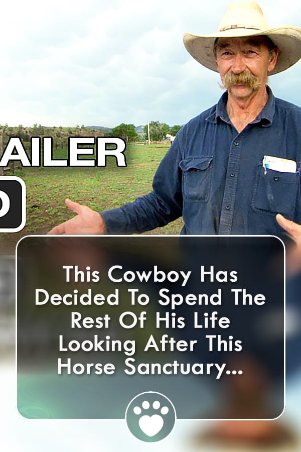 This Cowboy Has Decided To Spend The Rest Of His Life Looking After This Horse Sanctuary...