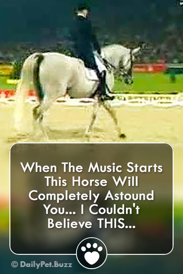 When The Music Starts This Horse Will Completely Astound You... I Couldn\'t Believe THIS...