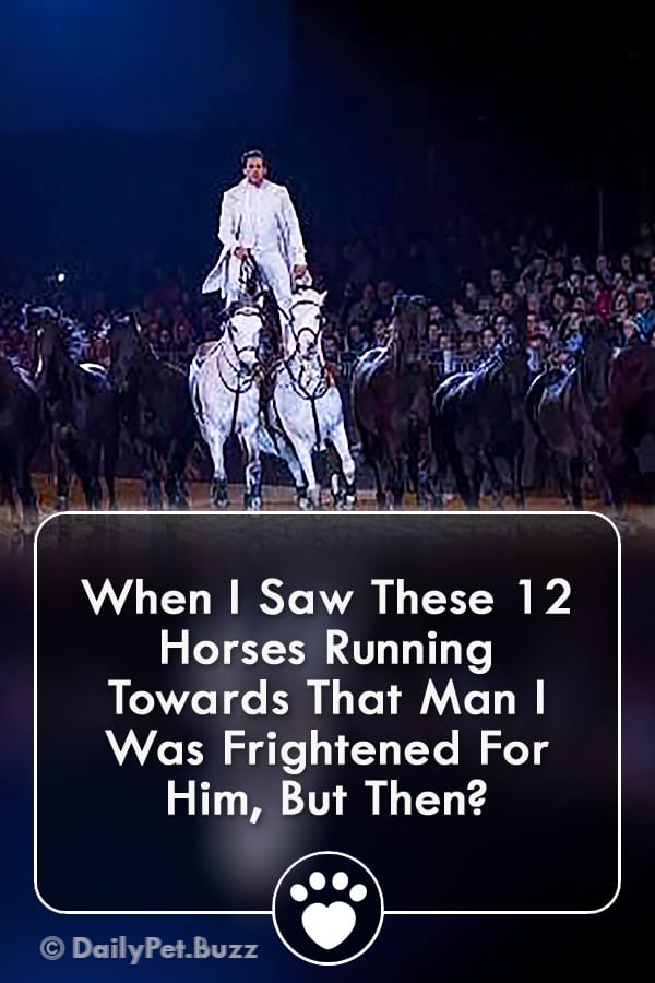 When I Saw These 12 Horses Running Towards That Man I Was Frightened For Him, But Then?