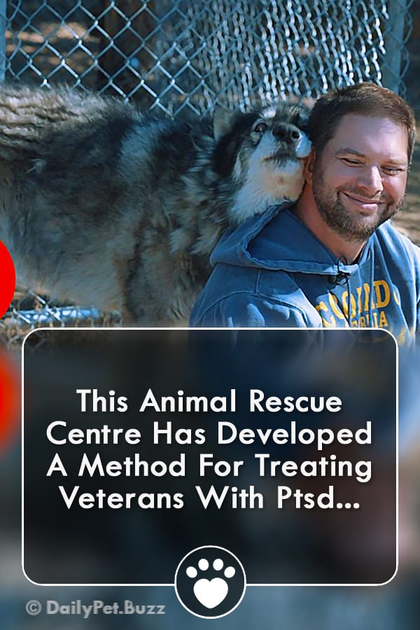 This Animal Rescue Centre Has Developed A Method For Treating Veterans With Ptsd...