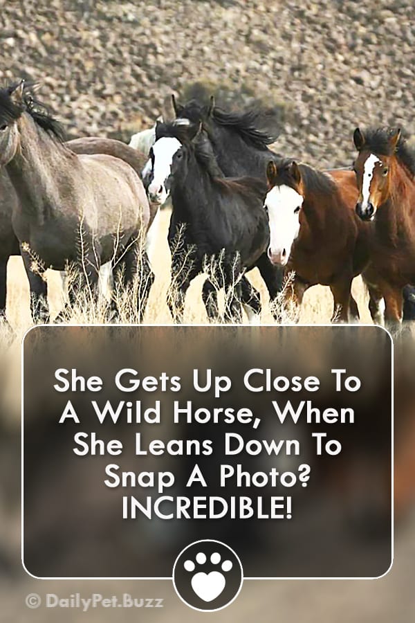 She Gets Up Close To A Wild Horse, When She Leans Down To Snap A Photo? INCREDIBLE!